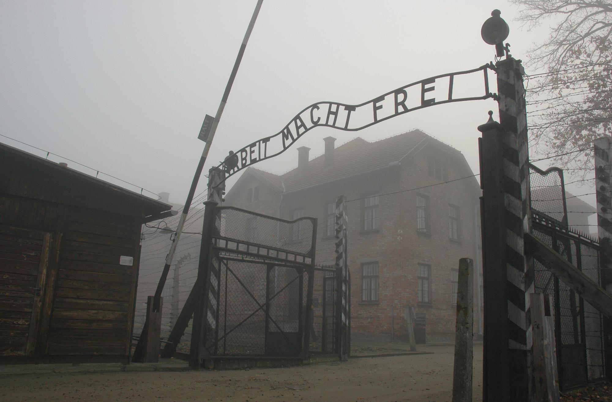 Auschwitz projekt
