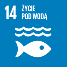 Życie pod wodą ikona czternastego celu zrównoważonego rozwoju